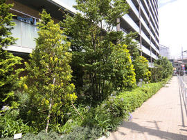 クレヴィア小竹向原 物件写真 建物写真6
