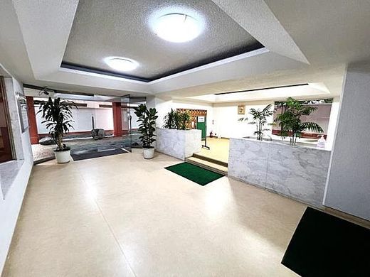 平河マンション 物件写真 建物写真8