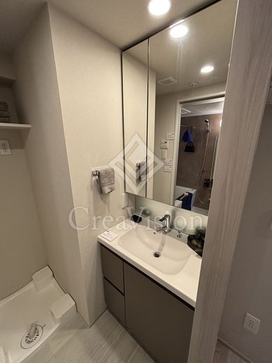 ブリリアイスト新御徒町 独立洗面所