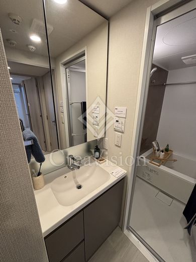 ブリリアイスト新御徒町 独立洗面所