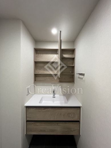 リビオメゾン大岡山 洗面台