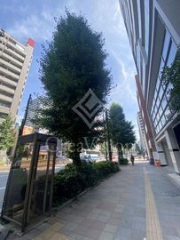 バウスフラッツ蔵前 外観 物件画像6
