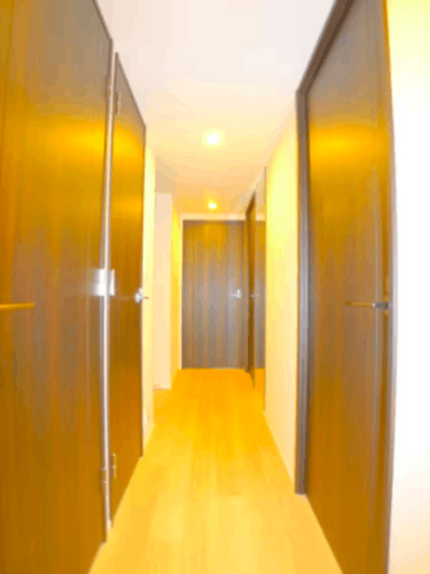 シティテラス金町 物件写真 建物写真5