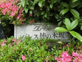 クレードルパレス柿ノ木坂 物件写真 建物写真4