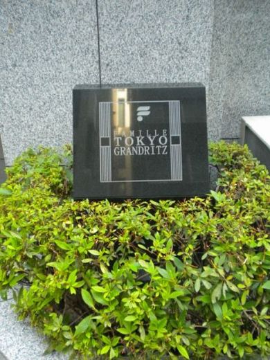 ファミール東京グランリッツ 物件写真 建物写真10