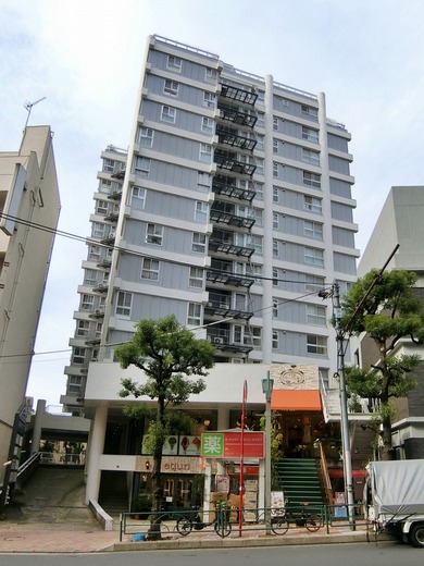 プレジデント目黒ハイツ 物件写真 建物写真2