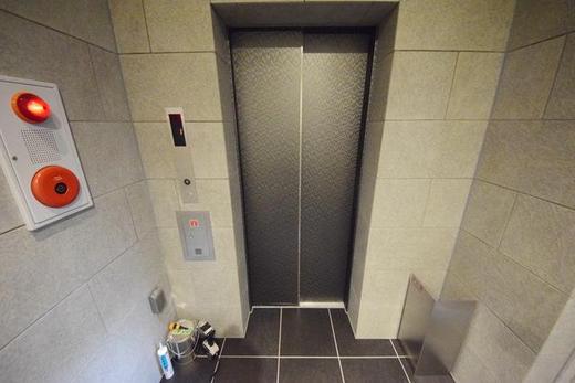 S-RESIDENCE押上パークサイド (エスレジデンス押上パークサイド) 物件写真 建物写真12