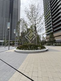 HARUMI FLAG SUN VILLAGE T棟 (晴海フラッグ サンヴィレッジ T棟) 外観 物件画像4