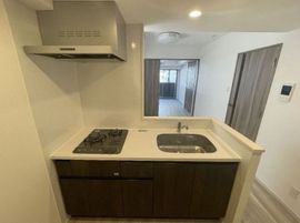 コンシェリア清澄白河 THE RESIDENCE 物件写真 建物写真4