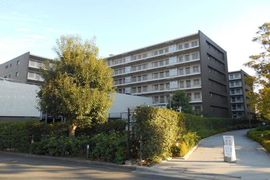 シティテラス川崎鈴木町ガーデンズ 物件写真 建物写真3