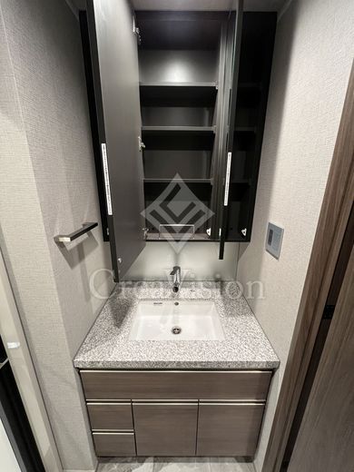 ルネサンス赤坂プレミアムコート 独立洗面台