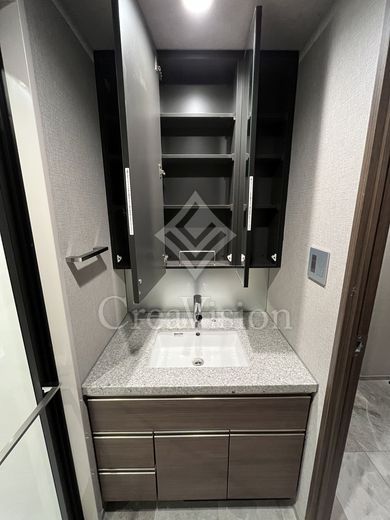 ルネサンス赤坂プレミアムコート 独立洗面台