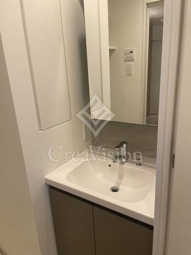 ブリリアイスト武蔵小杉 独立洗面所