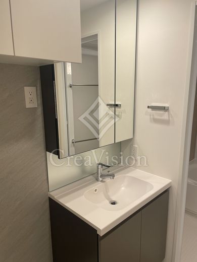 ブリリアイスト武蔵小杉 独立洗面所