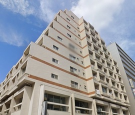 メゾンドール高田馬場 物件写真 建物写真1