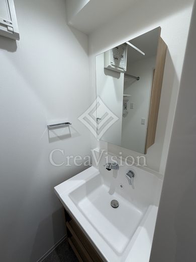 ロイジェント西新井 洗面所