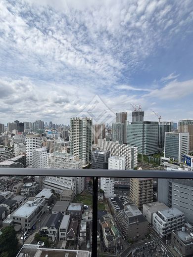 大崎ステーションレジデンス 眺望