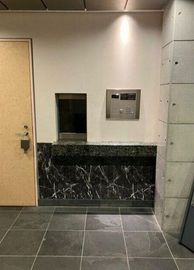 クレッセント武蔵小杉 物件写真 建物写真6