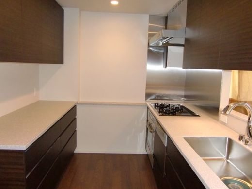 乃木坂パークハウス 物件写真 建物写真19