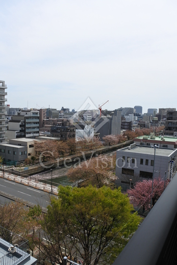 パークアクシス菊川 眺望