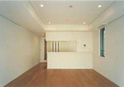 南麻布ウエスト 物件写真 建物写真12