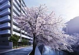 オークプレイス目黒リバーテラス 物件写真 建物写真2