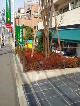 カスタリア新宿夏目坂 物件写真 建物写真6