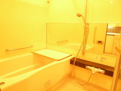 パークハウス千駄ヶ谷 物件写真 建物写真22
