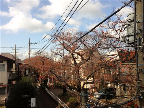 ステラ八雲 物件写真 建物写真26