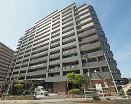 ダイアパレスグランデージ川崎多摩川リバーウイングス 物件写真 建物写真1