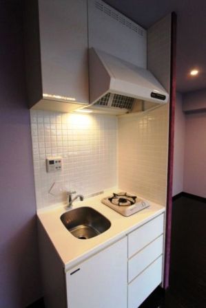 エルフラット新富町 物件写真 建物写真12