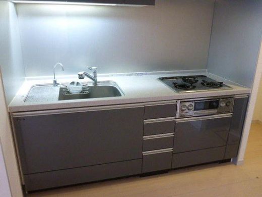 グランスイート日本橋エイペックス 物件写真 建物写真20