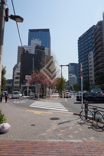 パークハビオ飯田橋 外観 物件画像6