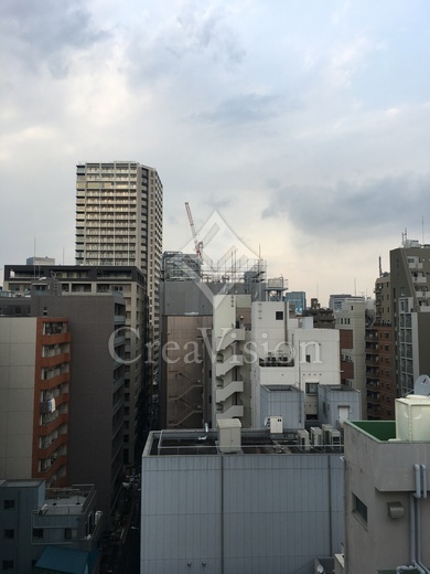 レヴィーナ東京八重洲通り 眺望