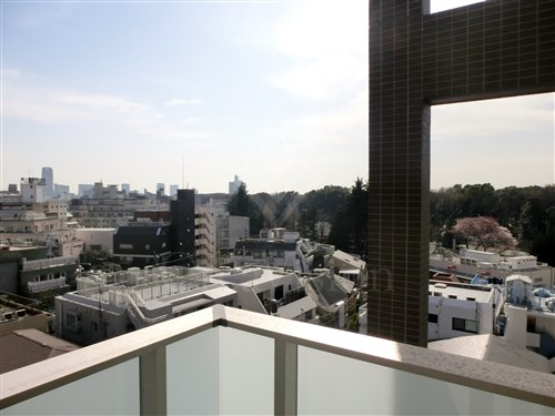 コスモリード原宿 物件写真 建物写真28