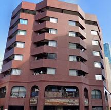 ライオンズマンション白金東 物件写真 建物写真1