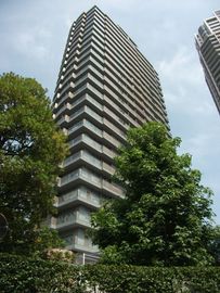 スカイシティ豊洲 ベイサイドタワー 物件写真 建物写真4