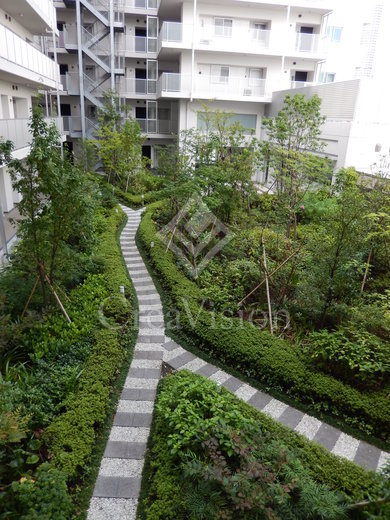 パークホームズ清澄白河 建物写真