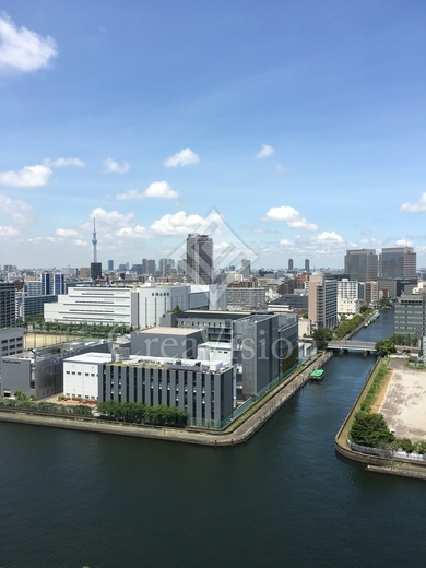 シティタワーズ豊洲ザ・シンボル 景色