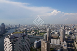 アーバンドックパークシティ豊洲タワー 外観 物件画像6