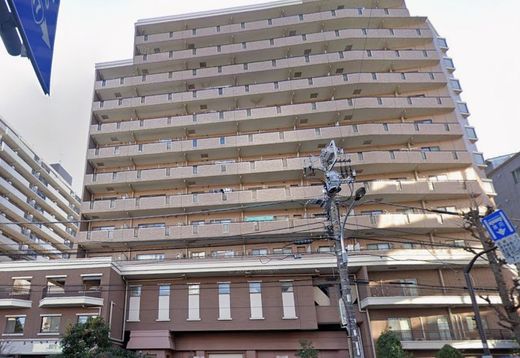 朝日メトロステージ西巣鴨 物件写真 建物写真1