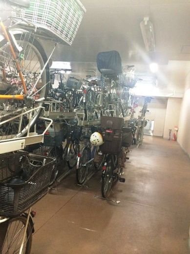 イーストコモンズ清澄白河サウスフラッツ 物件写真 建物写真21