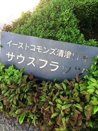 イーストコモンズ清澄白河サウスフラッツ 物件写真 建物写真5