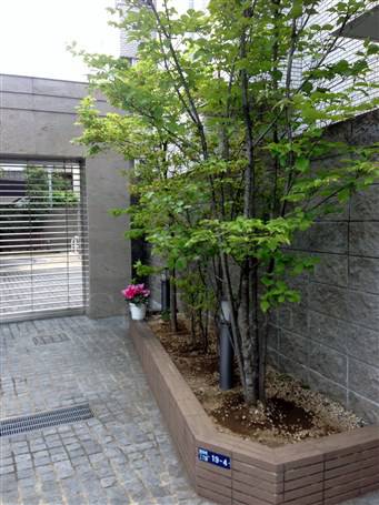 スタイルハウス西麻布 物件写真 建物写真24