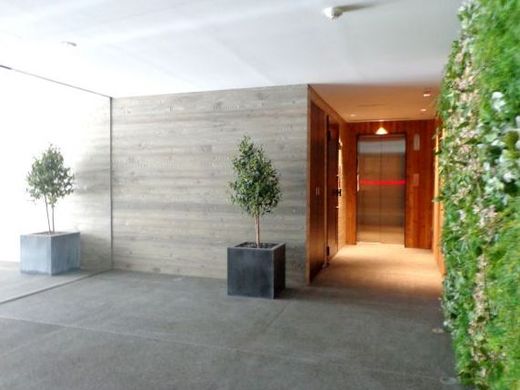 オーキッドレジデンス銀座東 物件写真 建物写真5