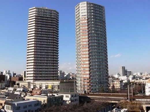 パークタワー東中野 物件写真 建物写真1