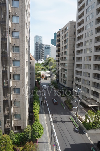 パークハビオ赤坂氷川町 景色