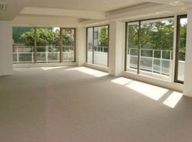 ヒルサイド松濤 物件写真 建物写真13