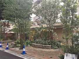 パークホームズ二子玉川ヒルトップ 物件写真 建物写真4