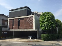 stella argenta 画像